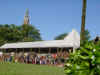 wiese2.JPG (61511 Byte)